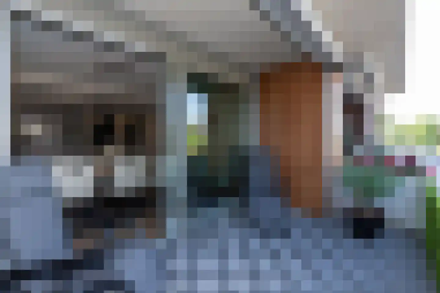 Groen v Prinstererstraat 131 Papendrecht thumbnail 34