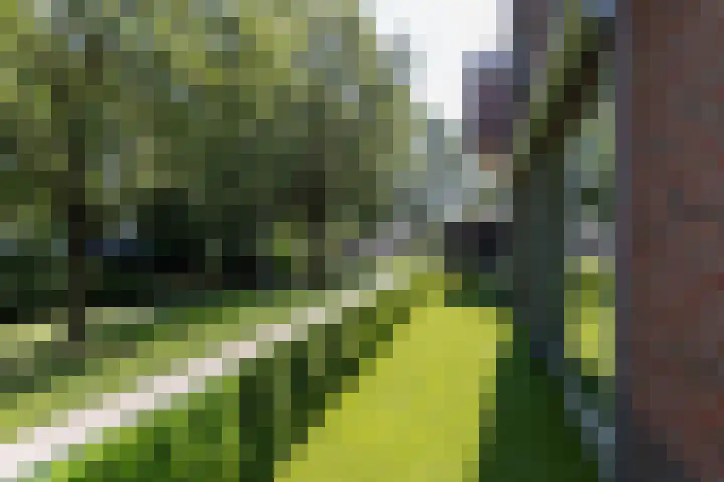 Groen v Prinstererstraat 131 Papendrecht thumbnail 36