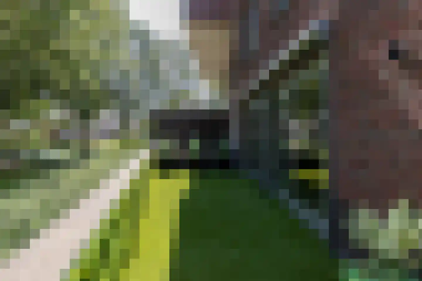 Groen v Prinstererstraat 131 Papendrecht thumbnail 37