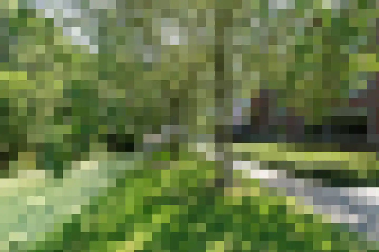 Groen v Prinstererstraat 131 Papendrecht thumbnail 40