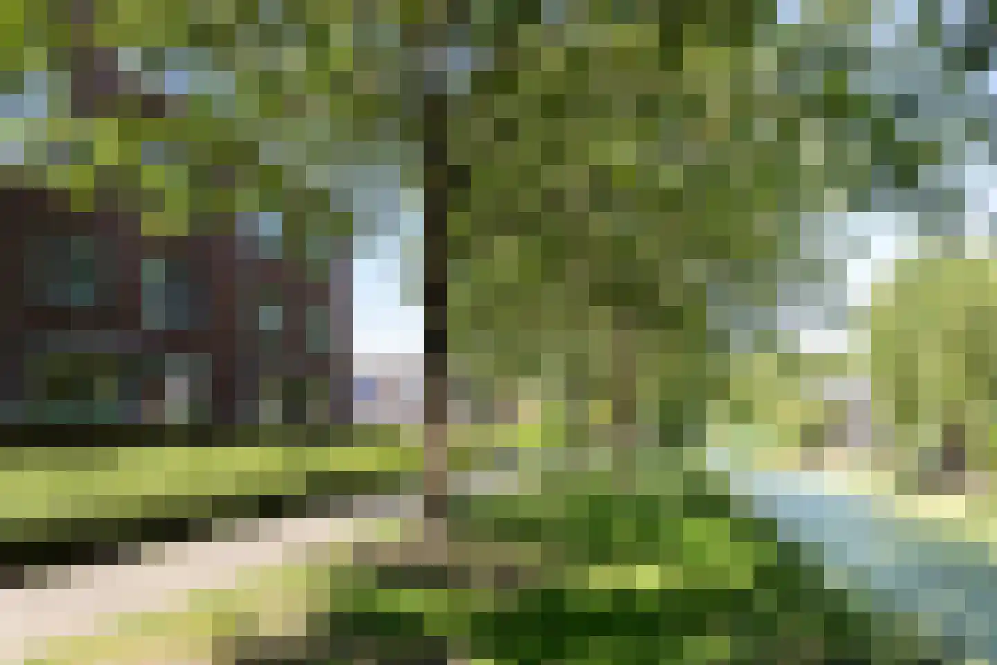 Groen v Prinstererstraat 131 Papendrecht thumbnail 41