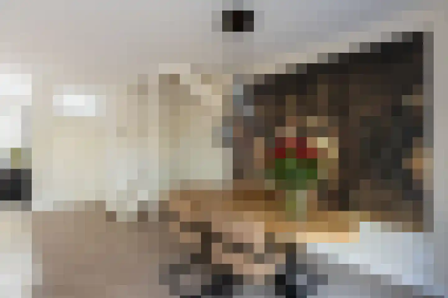 Groen v Prinstererstraat 33 Papendrecht thumbnail 10
