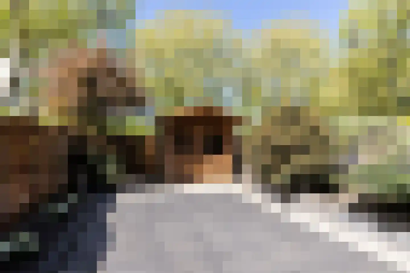 Groen v Prinstererstraat 33 Papendrecht thumbnail 25