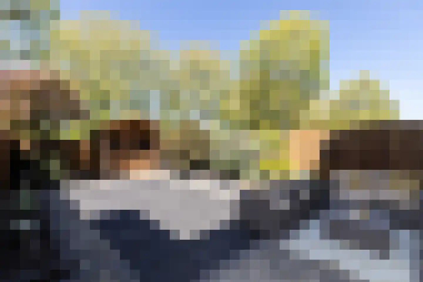 Groen v Prinstererstraat 33 Papendrecht thumbnail 4