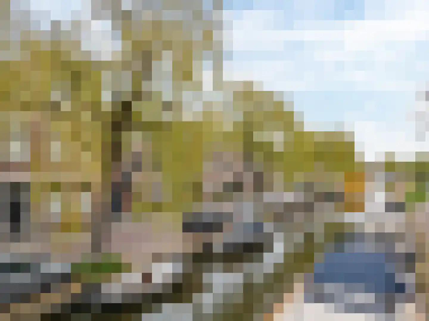 Groen van Prinstererkade 27 Maassluis thumbnail 10