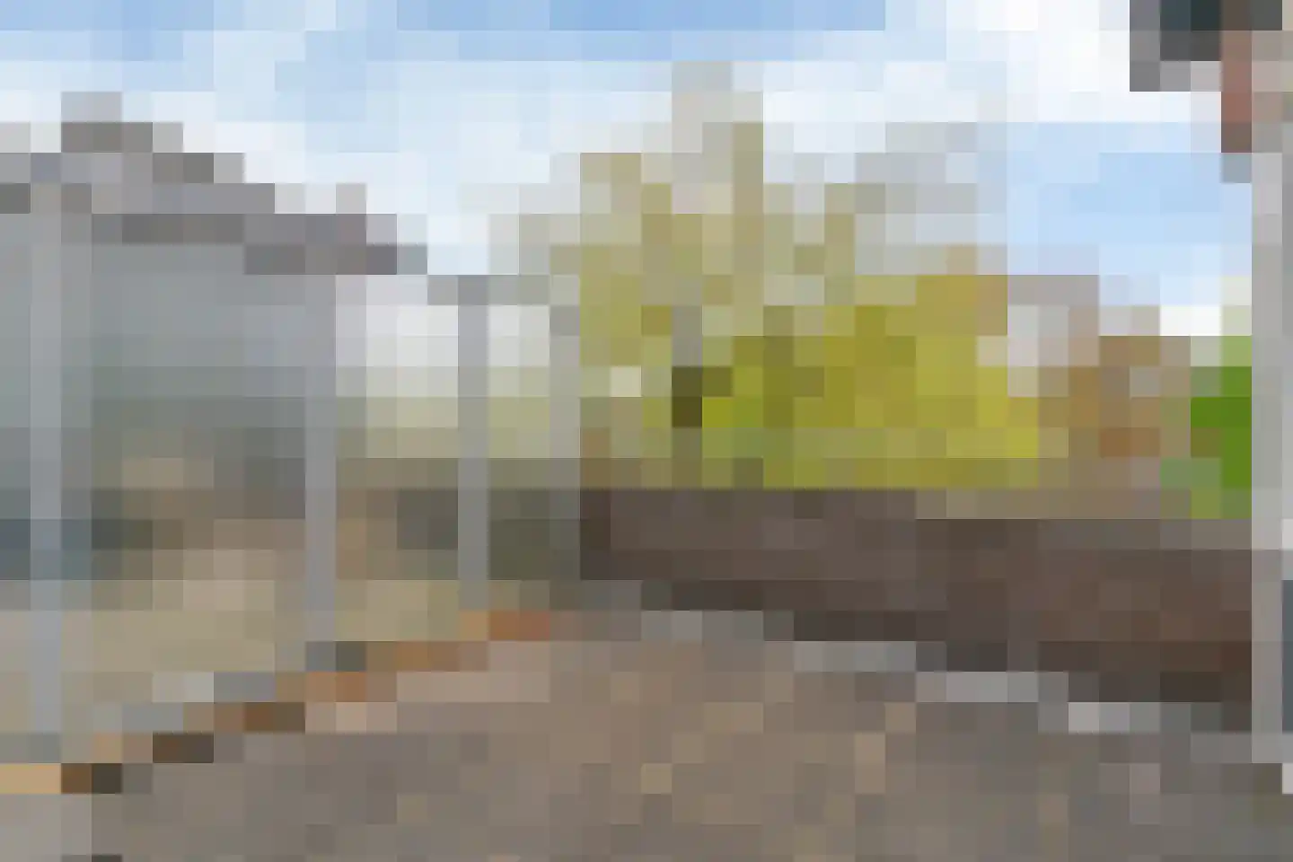 Groen van Prinstererkade 27 Maassluis thumbnail 35