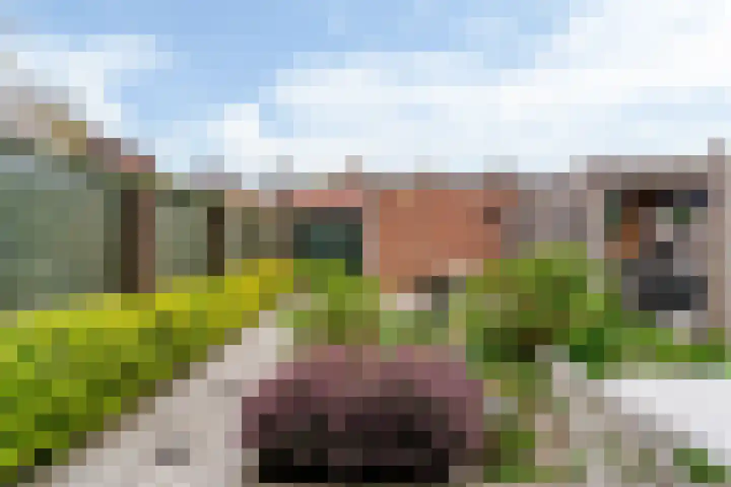 Groen van Prinstererkade 27 Maassluis thumbnail 37