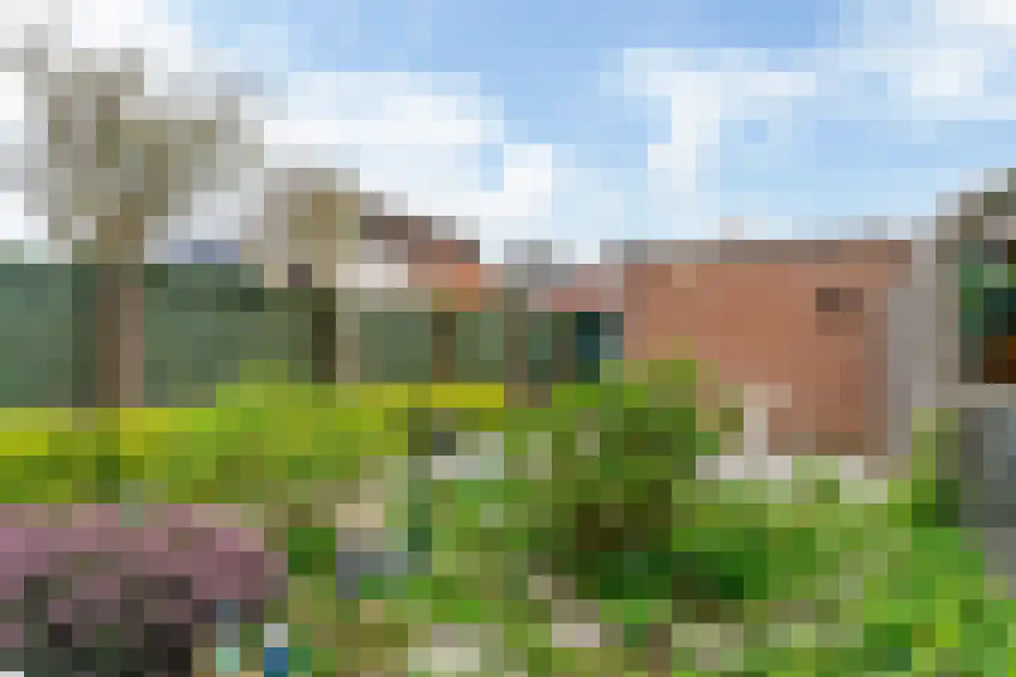 Groen van Prinstererkade 27 Maassluis thumbnail 38