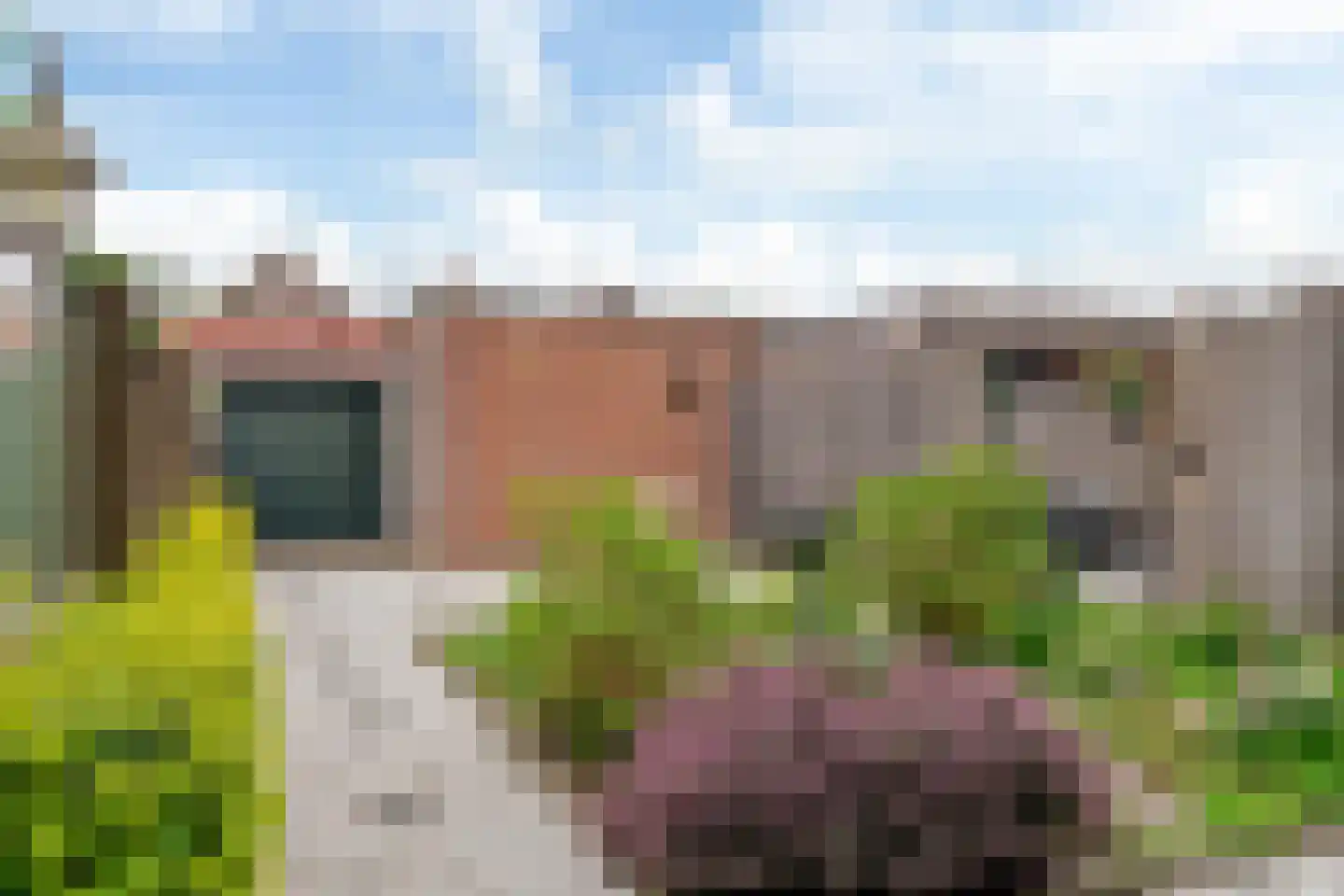 Groen van Prinstererkade 27 Maassluis thumbnail 39