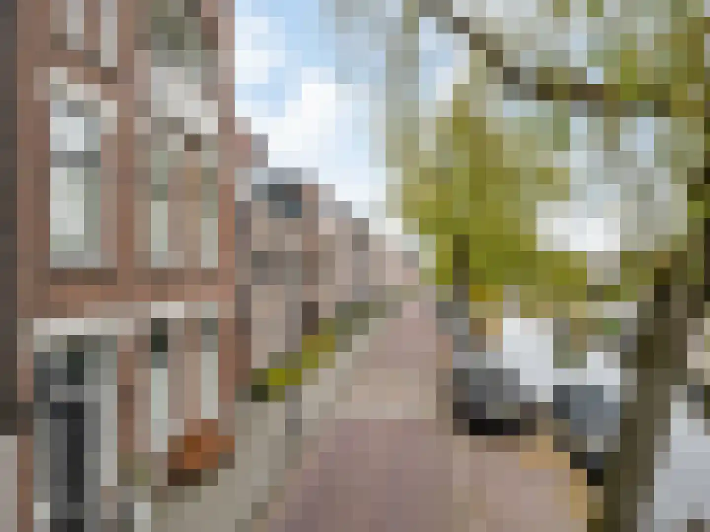 Groen van Prinstererkade 27 Maassluis thumbnail 47