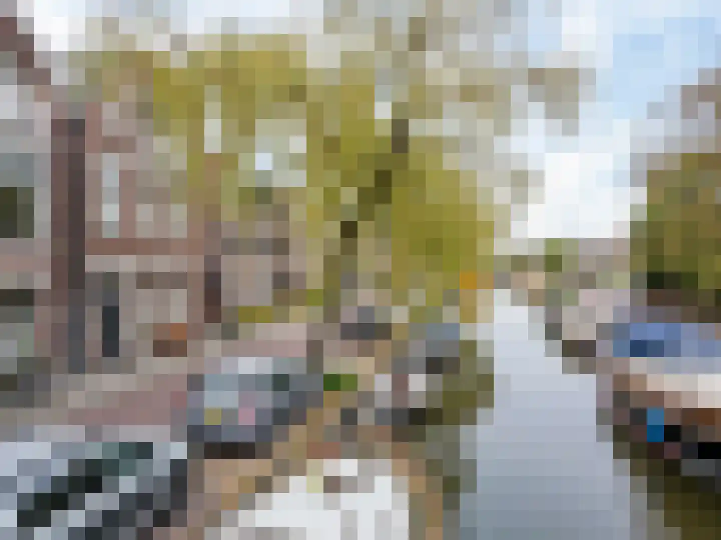 Groen van Prinstererkade 27 Maassluis thumbnail 48