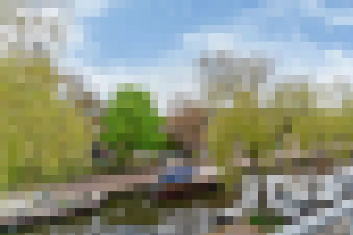 Groen van Prinstererkade 27 Maassluis thumbnail 49