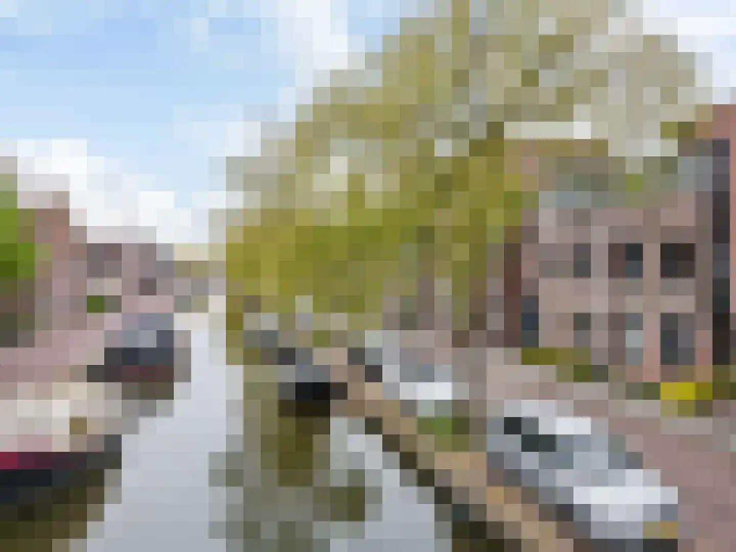 Groen van Prinstererkade 27 Maassluis thumbnail 6