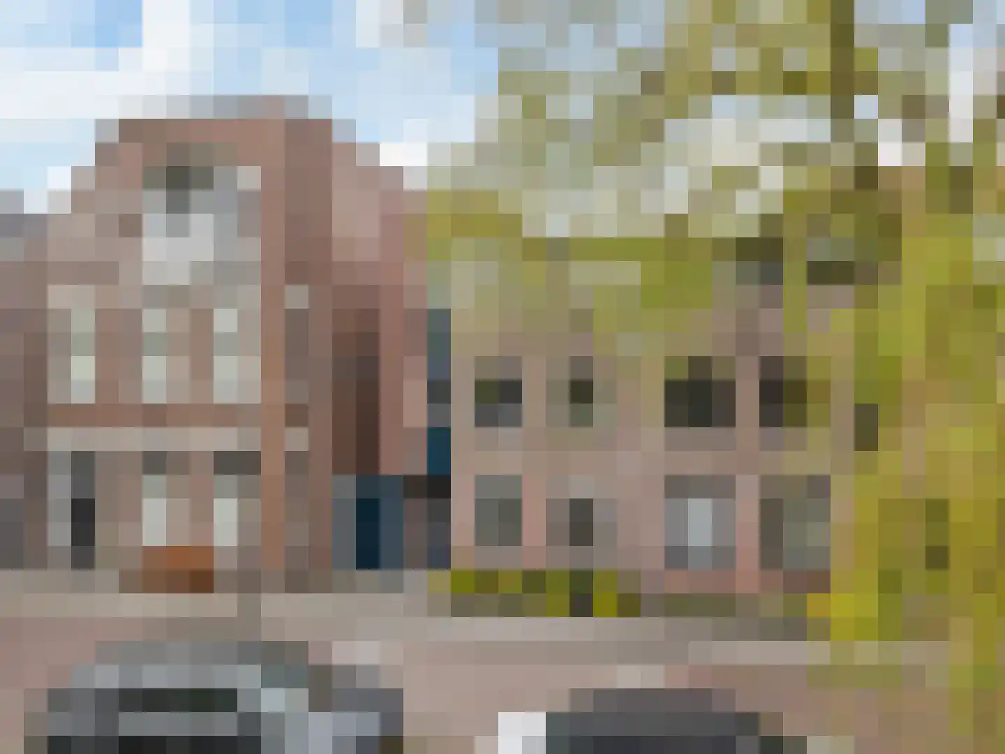 Groen van Prinstererkade 27 Maassluis thumbnail 8