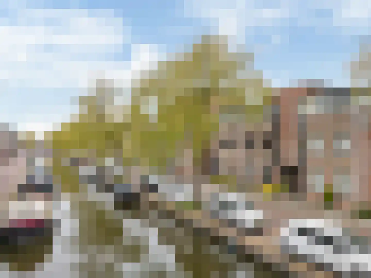 Groen van Prinstererkade 27 Maassluis thumbnail 9