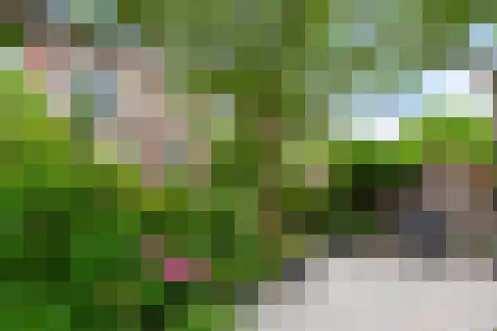 Groen van Prinstererkade 5 Maassluis thumbnail 25