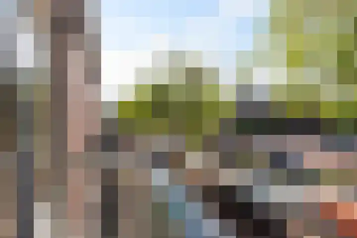 Groen van Prinstererkade 5 Maassluis thumbnail 33