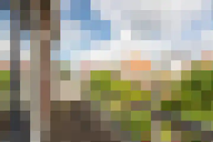 Groen van Prinstererkade 5 Maassluis thumbnail 38
