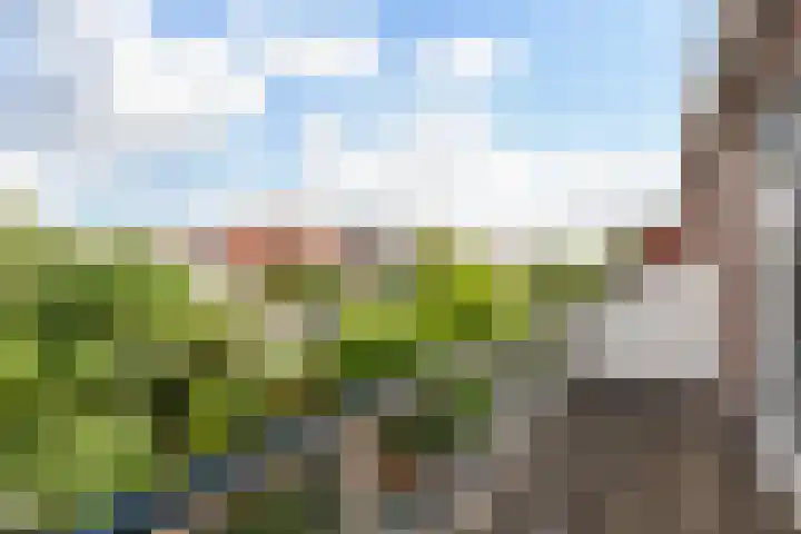 Groen van Prinstererkade 5 Maassluis thumbnail 39