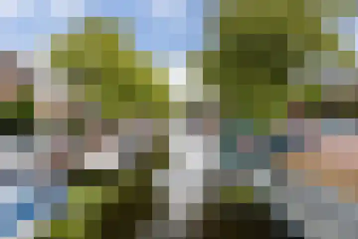 Groen van Prinstererkade 5 Maassluis thumbnail 4