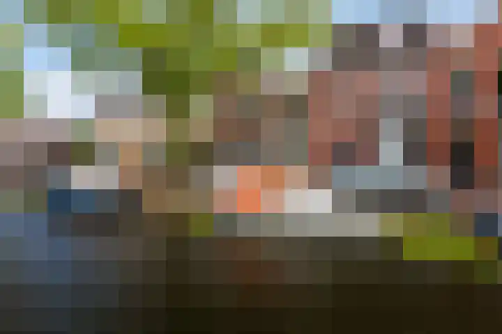 Groen van Prinstererkade 5 Maassluis thumbnail 52