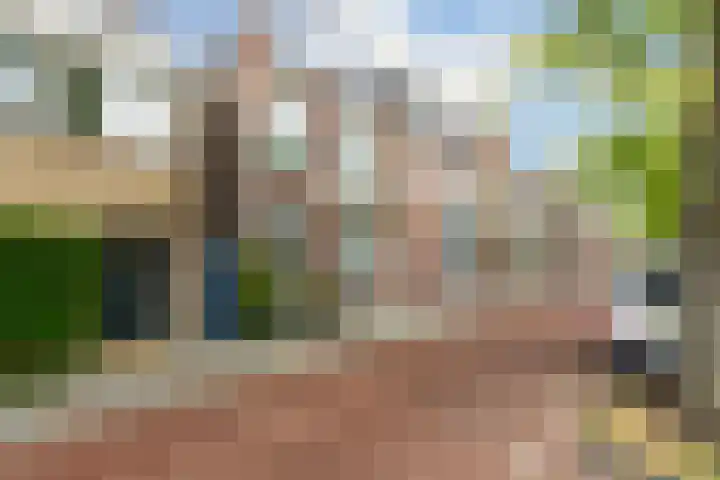 Groen van Prinstererkade 5 Maassluis thumbnail 6