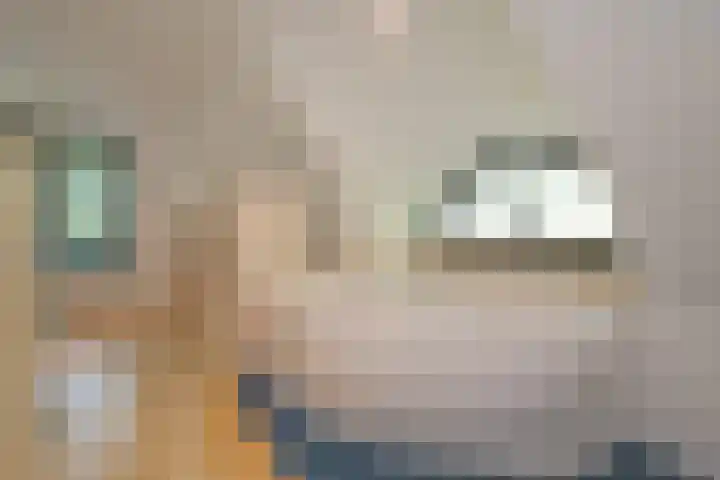 Groen van Prinstererlaan 1 E Wassenaar thumbnail 21