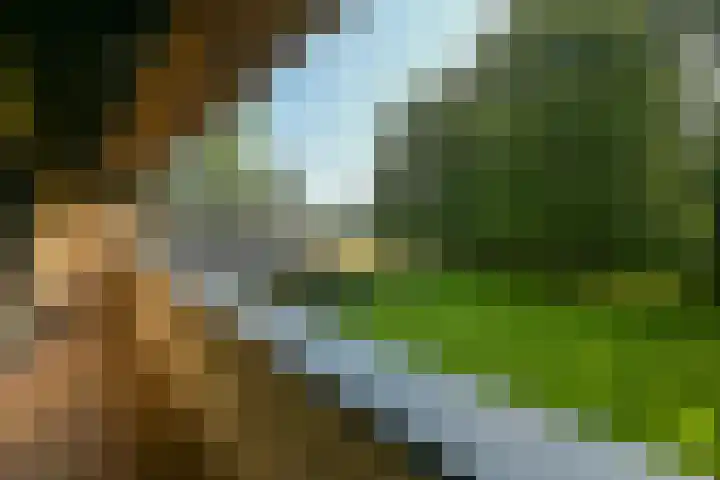 Groen van Prinstererlaan 1 E Wassenaar thumbnail 24