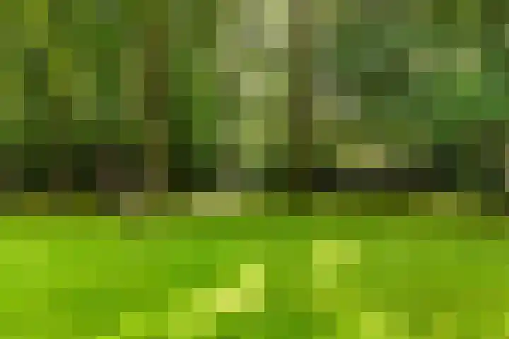 Groen van Prinstererlaan 1 E Wassenaar thumbnail 26