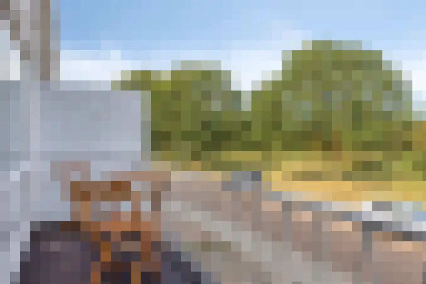 Groen van Prinstererlaan 102 Vlissingen thumbnail 14