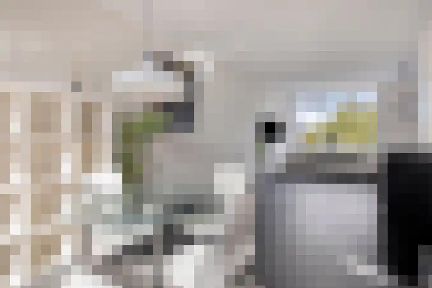 Groen van Prinstererlaan 102 Vlissingen thumbnail 17