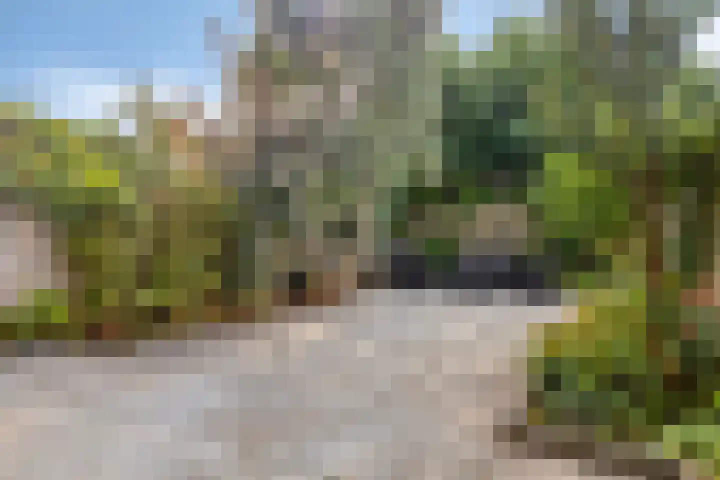 Groen van Prinstererlaan 102 Vlissingen thumbnail 34