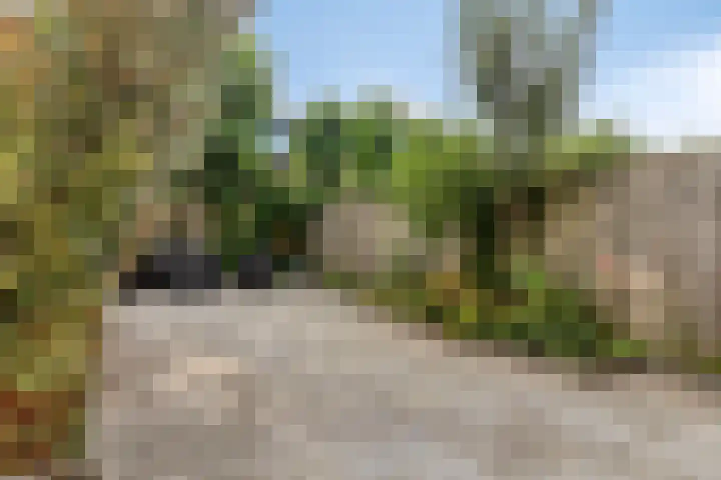 Groen van Prinstererlaan 102 Vlissingen thumbnail 35