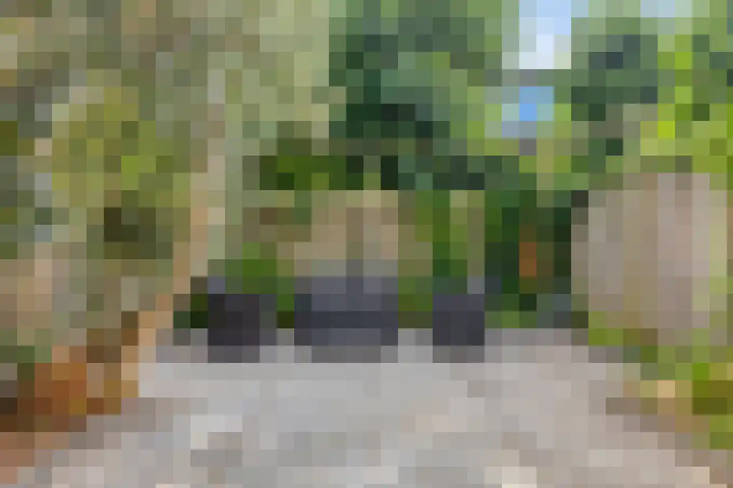 Groen van Prinstererlaan 102 Vlissingen thumbnail 36