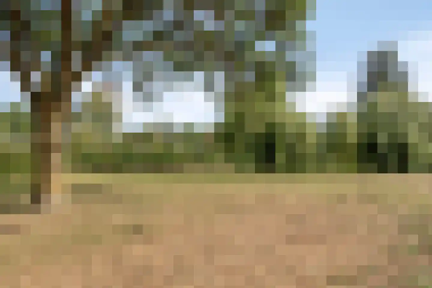 Groen van Prinstererlaan 102 Vlissingen thumbnail 40