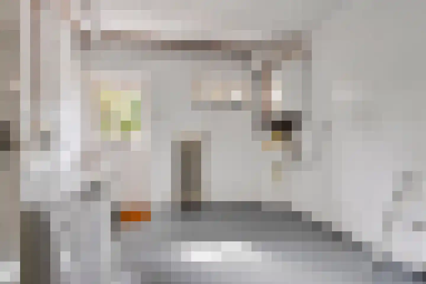 Groen van Prinstererlaan 102 Vlissingen thumbnail 9