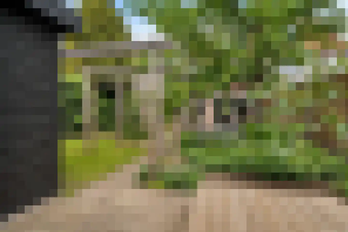 Groen van Prinstererlaan 122 's-Hertogenbosch thumbnail 36