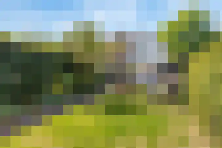 Groen van Prinstererlaan 13 Enschede thumbnail 18