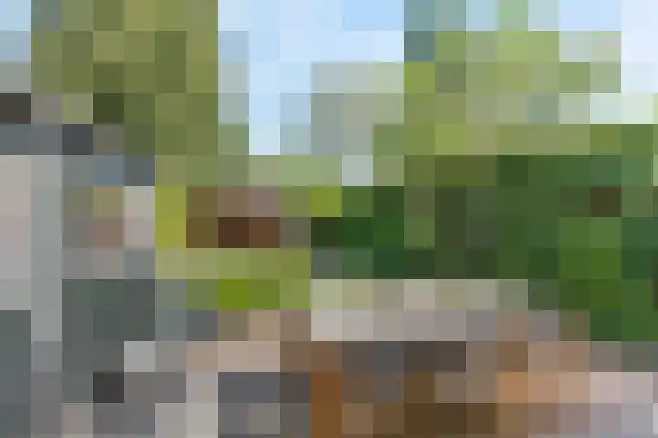 Groen van Prinstererlaan 13 Enschede thumbnail 19