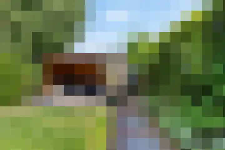 Groen van Prinstererlaan 13 Enschede thumbnail 20