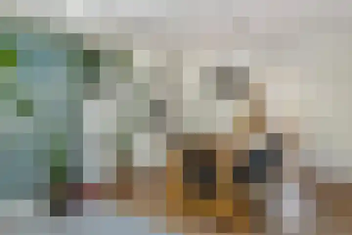 Groen van Prinstererlaan 13 Enschede thumbnail 8