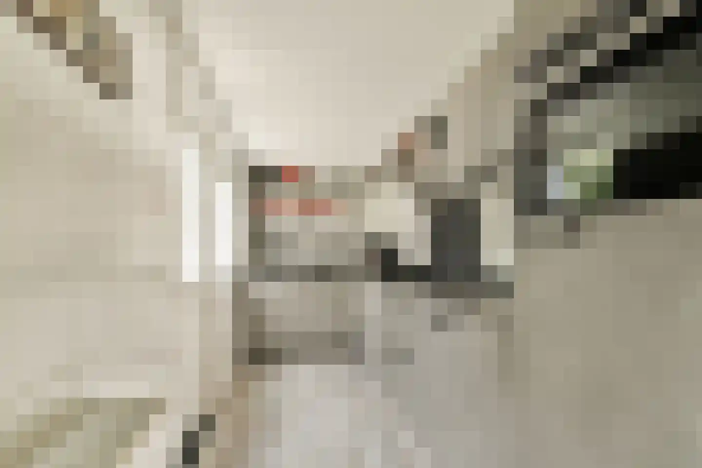 Groen van Prinstererlaan 13 Reeuwijk thumbnail 10