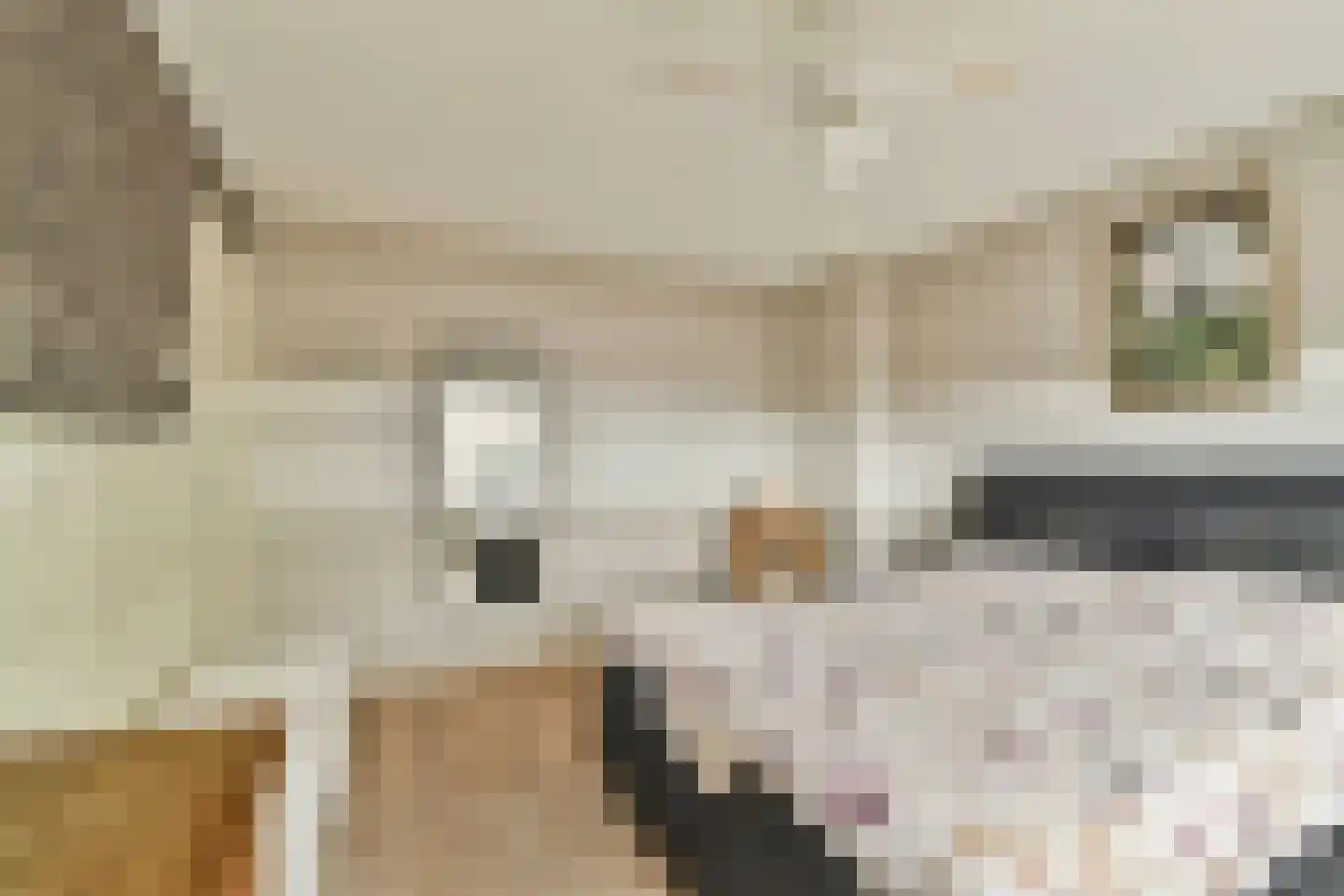 Groen van Prinstererlaan 13 Reeuwijk thumbnail 12