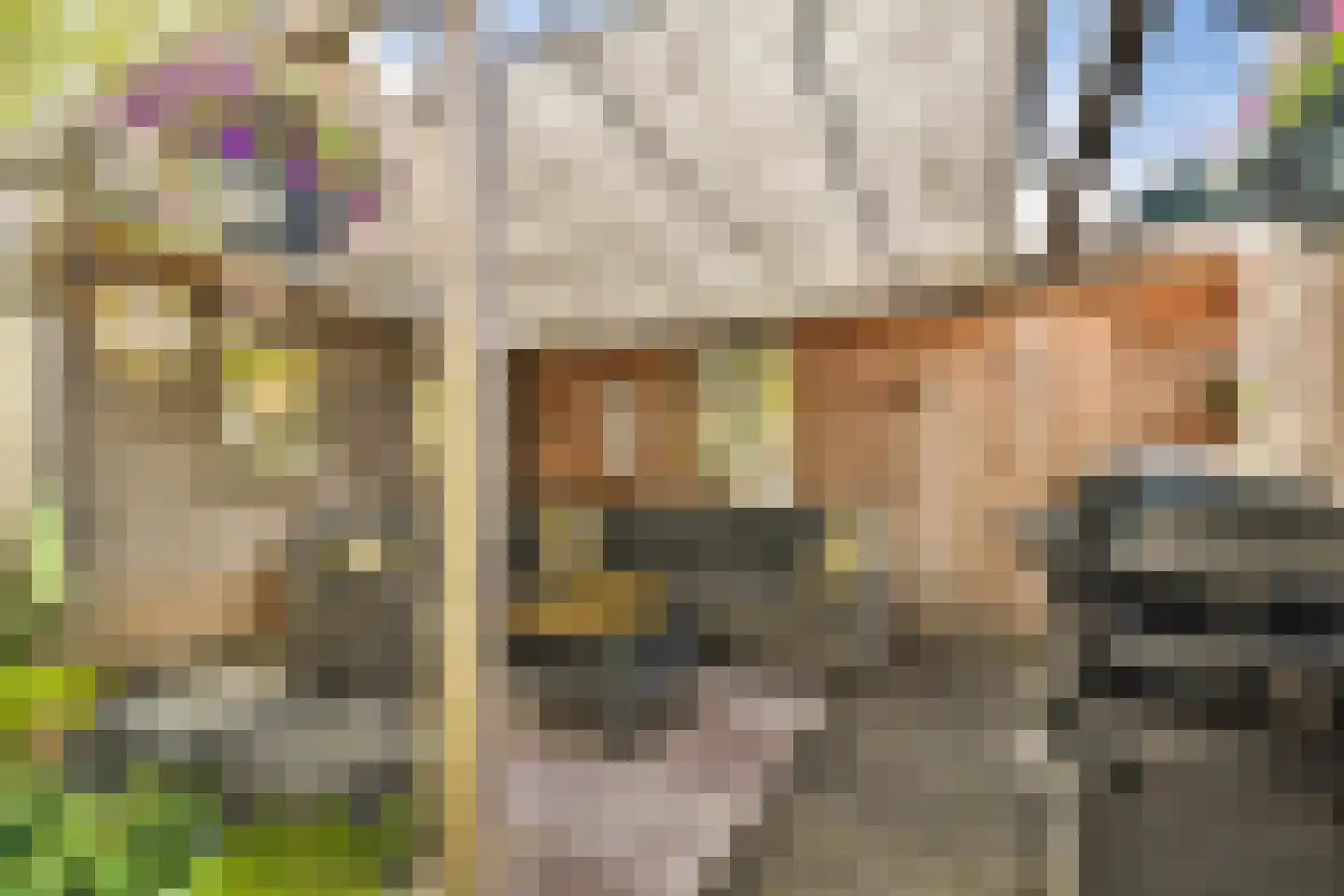 Groen van Prinstererlaan 13 Reeuwijk thumbnail 21