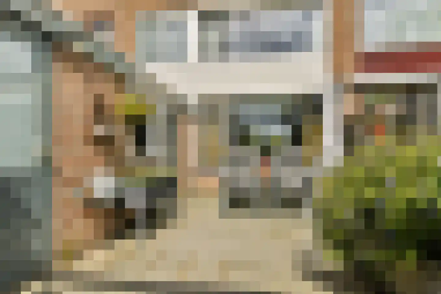 Groen van Prinstererlaan 13 Reeuwijk thumbnail 23