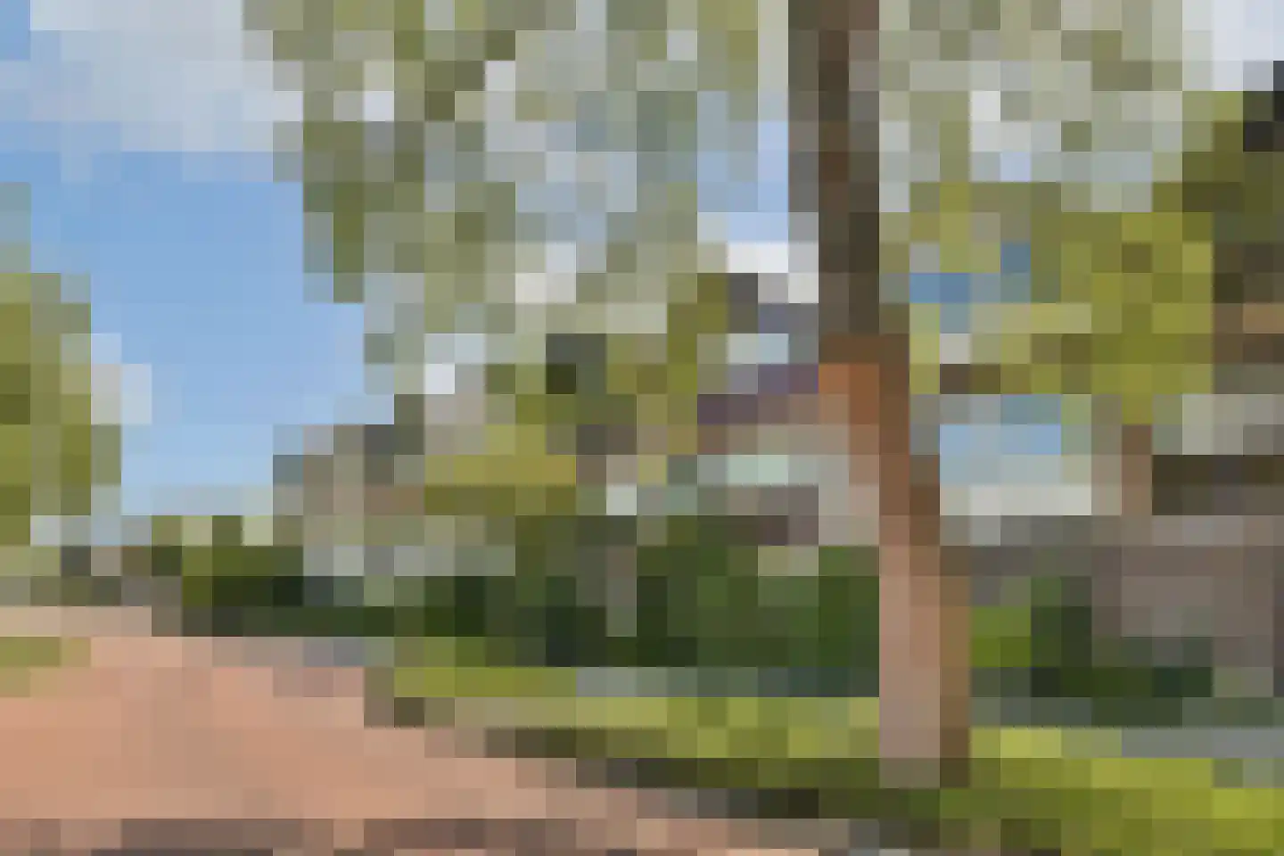 Groen van Prinstererlaan 13 Reeuwijk thumbnail 25