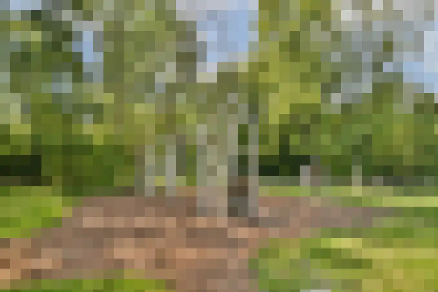 Groen van Prinstererlaan 13 Reeuwijk thumbnail 26