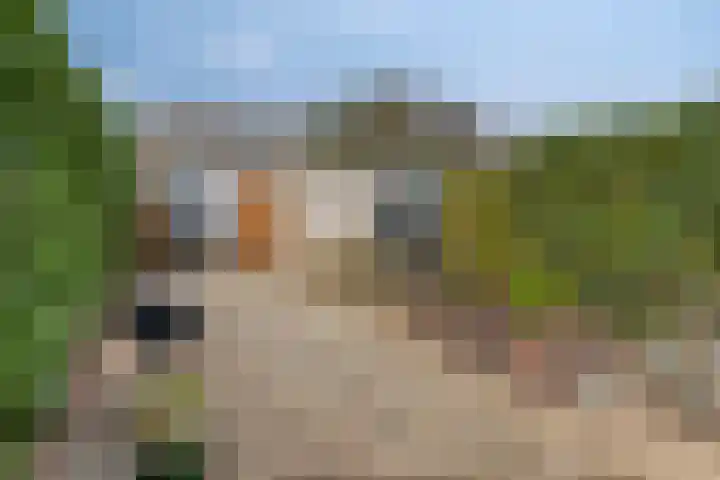 Groen van Prinstererlaan 135 's-Hertogenbosch thumbnail 10