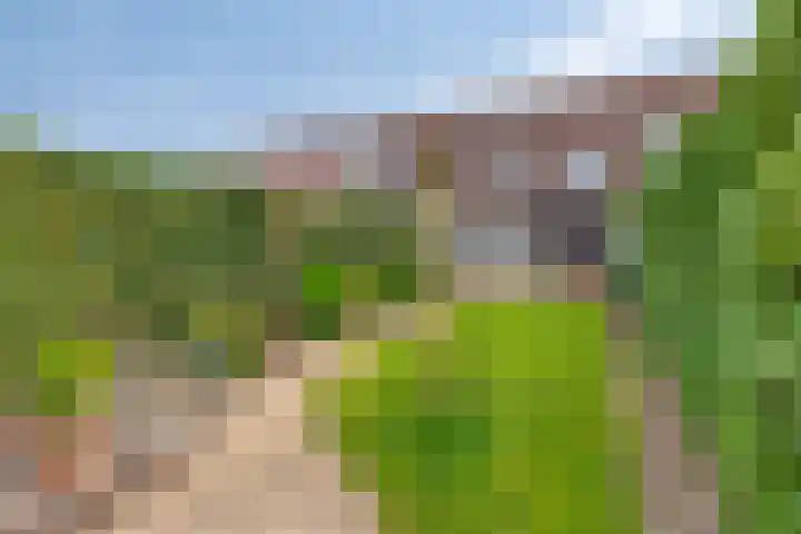 Groen van Prinstererlaan 135 's-Hertogenbosch thumbnail 12