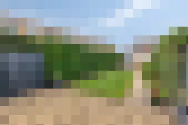 Groen van Prinstererlaan 135 's-Hertogenbosch thumbnail 8